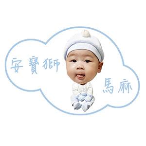 購物達人-安寶獅馬麻