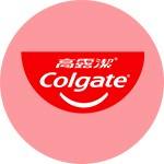 回饋12%