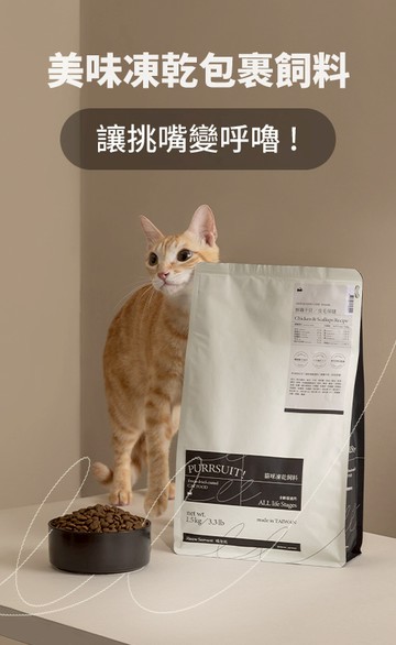 喵皇奴 Meow Servant