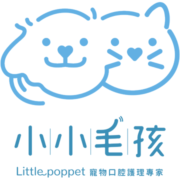 小小毛孩