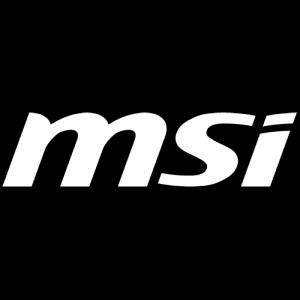 MSI Store
