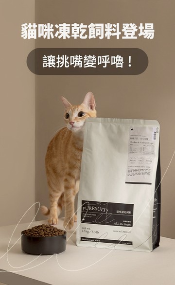 喵皇奴 Meow Servant