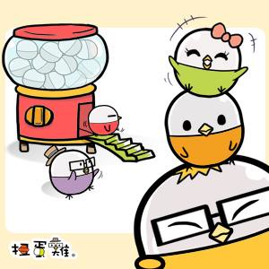 購物達人- 扭蛋雞IP圖文創作