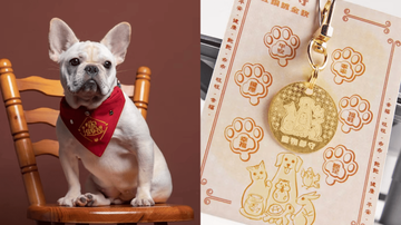 寵物新年也要保平安！紅包口袋、馬年開運衣，毛小孩過年好物清單一次看！