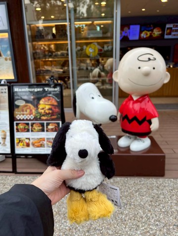 史努比迷必朝聖🐶🐾日本3大夢幻據點巡禮☁️重拾最純真童心🍭